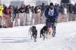 Lenk 2013